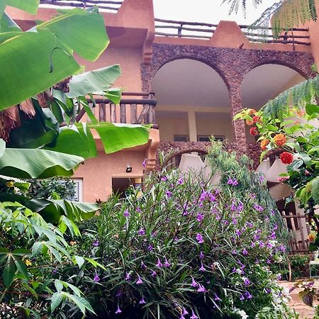 토우밥 디아발오 Ker Lep Jamm - Chez Moussa Et Cinzia B&B 외부 사진